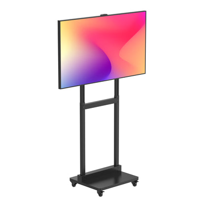 Window Display Floor